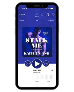 stalk me (audiobook mock up)